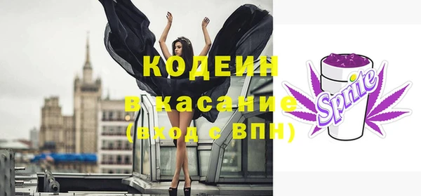 прущие грибы Алзамай